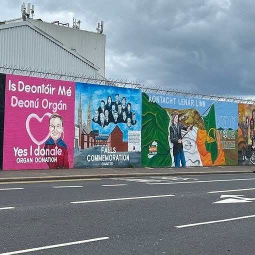 International Wall Belfast Murals on a wall featuring various cultural and political themes. Cloudy sky above.